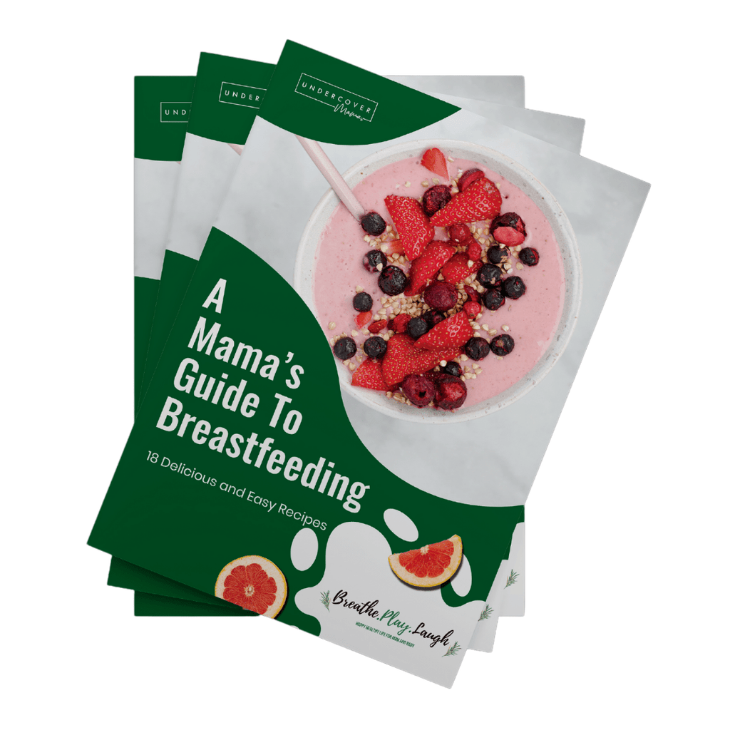 A Mama’s Guide To Breastfeeding Nursing Cookbook
